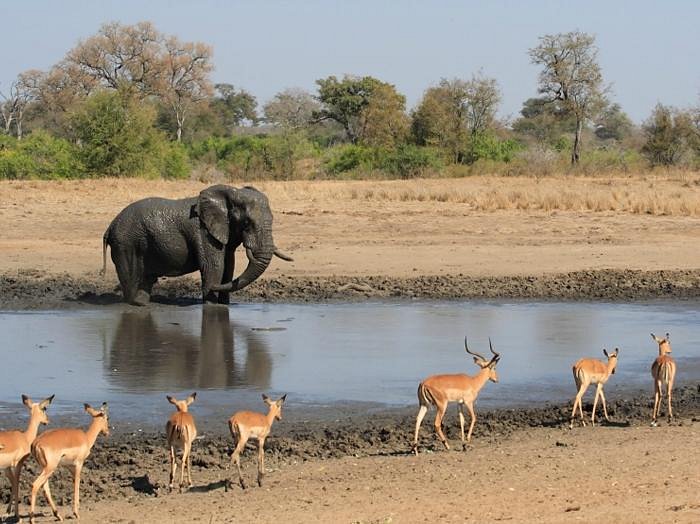 Kruger National Park